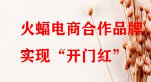 火蝠電商合作品牌實現(xiàn)開門紅