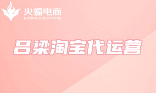 呂梁淘寶代運營 呂梁淘寶代運營